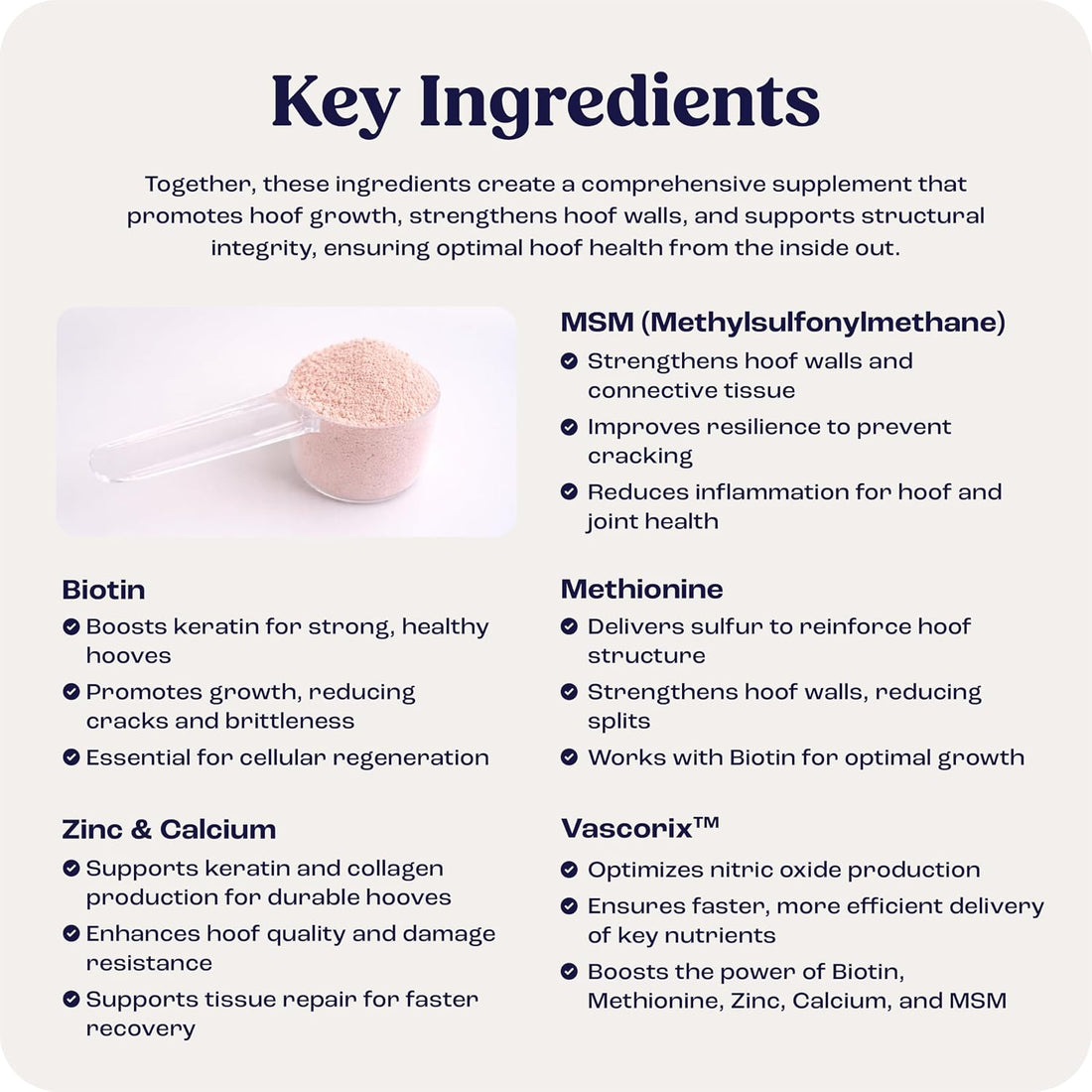 Summit Equine Hoof Strength Powder for Horses
