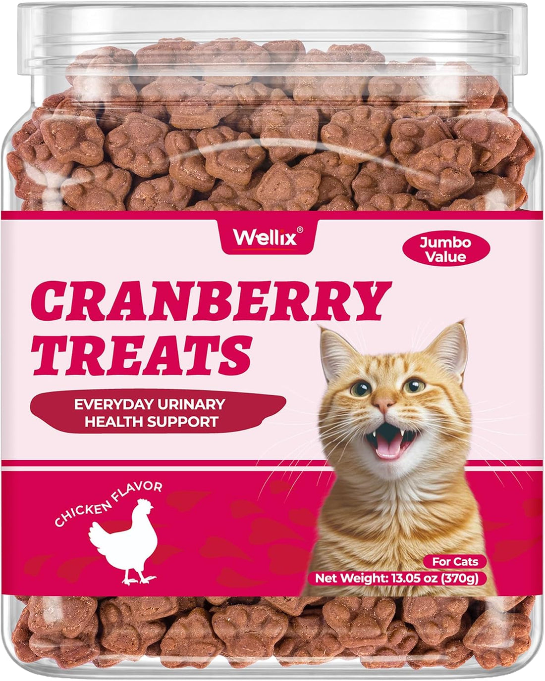 Wellix 13.05 oz Catnip Treats for Cats for Digestive Support