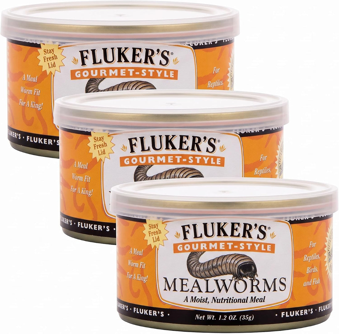 Fluker's Gourmet Mealworms, Canned Food for Reptiles, Fish