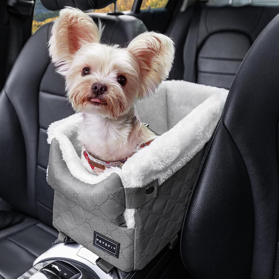 PETSFIT Center Console Dog Car Seat with Adjustable Seat-Rail Anchor