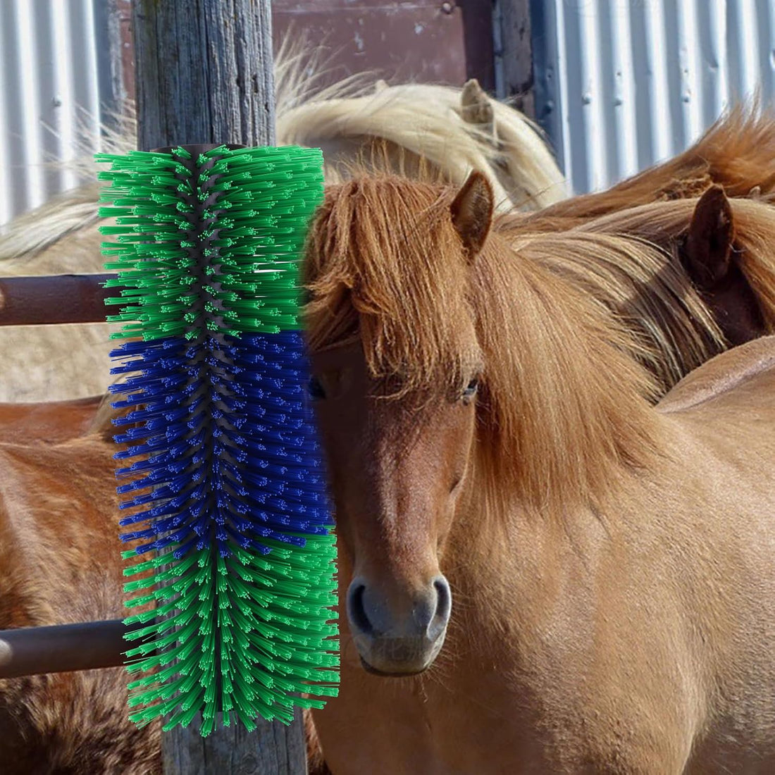 Livestock Scratching Brush for Horse Goat Cattle Cow Sheep Pig