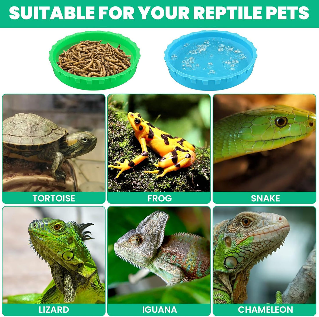 6 PCS Gecko Feeding Cups,Reusable Silicone Gecko Food Dish