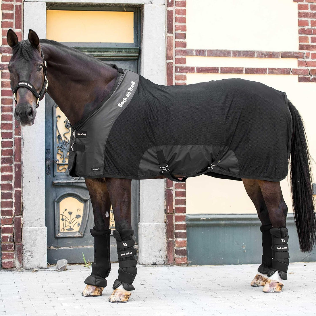 Back on Track Royal Mesh Sheet Deluxe Horse Blanket