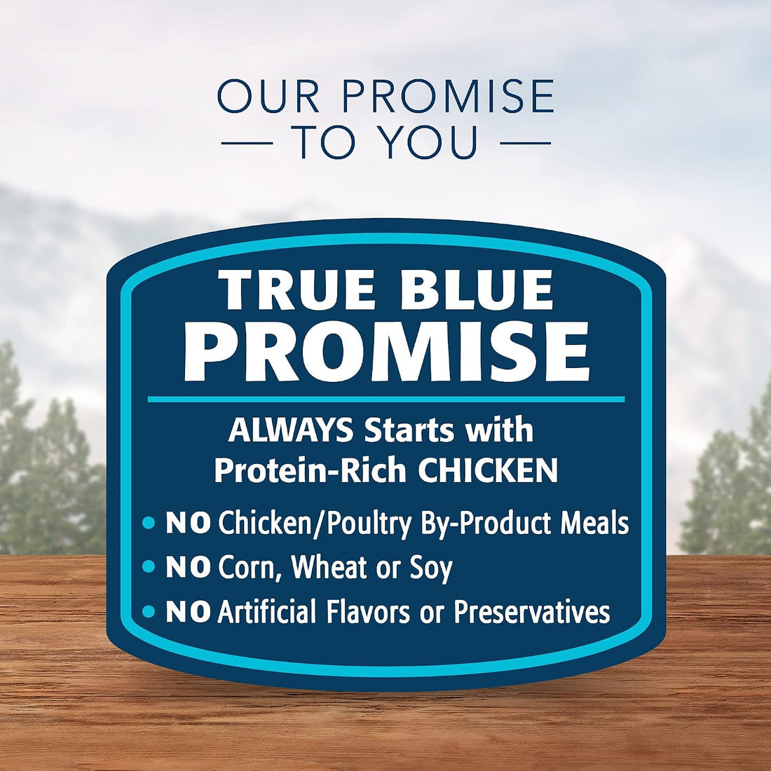 Blue Buffalo Wilderness Salmon Adult 7+ Dry Cat Food, Grain-Free, 5 lb