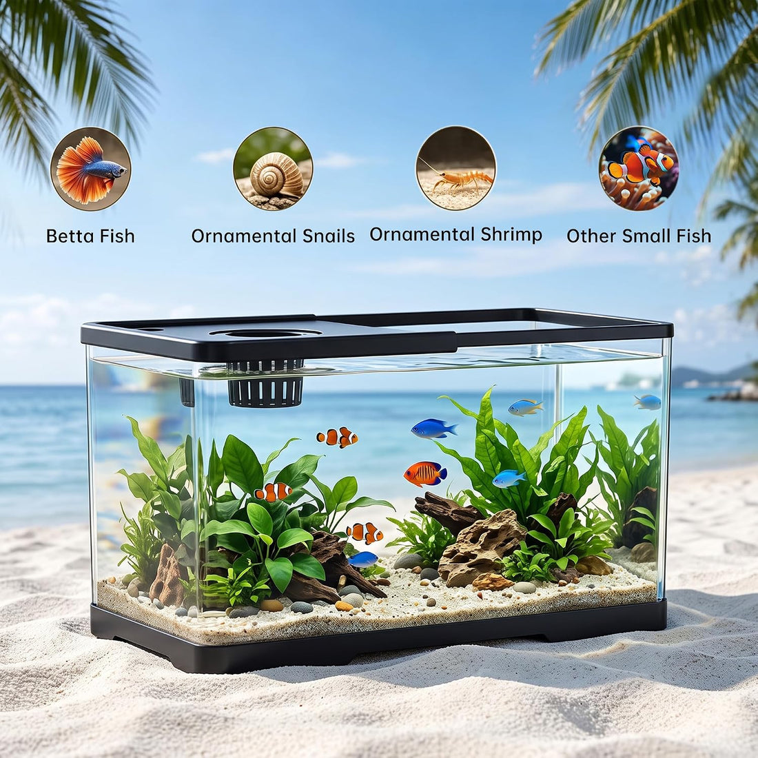 2 Gallon Hydroponic Fish Tank, Small Desktop Aquarium Kit