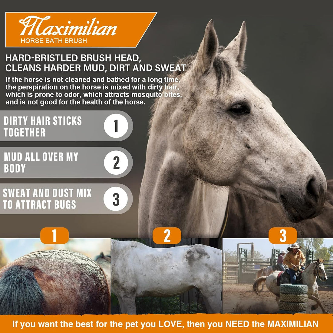 MAXIMILIAN Handmade Horse Brush Professional Horse Brushes