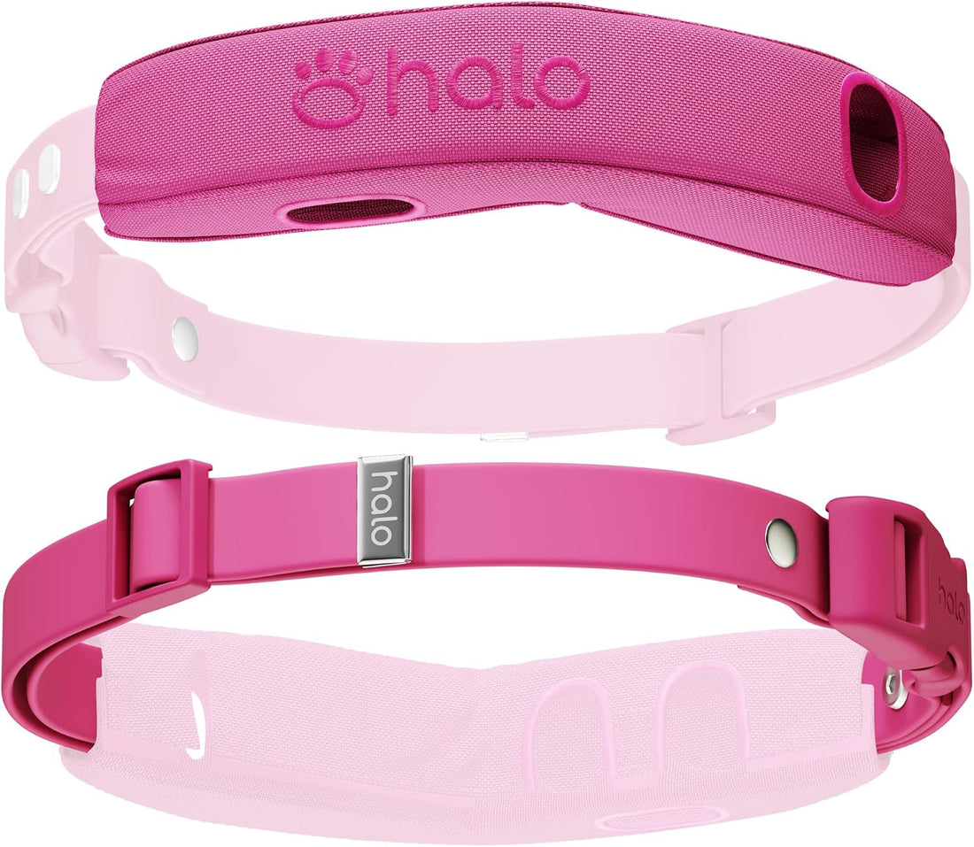 Halo Collar 5 Pro Case + Strap Kit