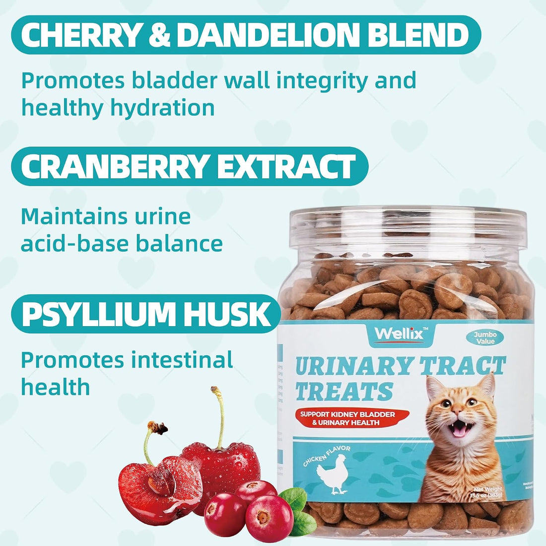 Wellix 13.5oz Urinary Tract Health Supplement Cat Treats for Indoor