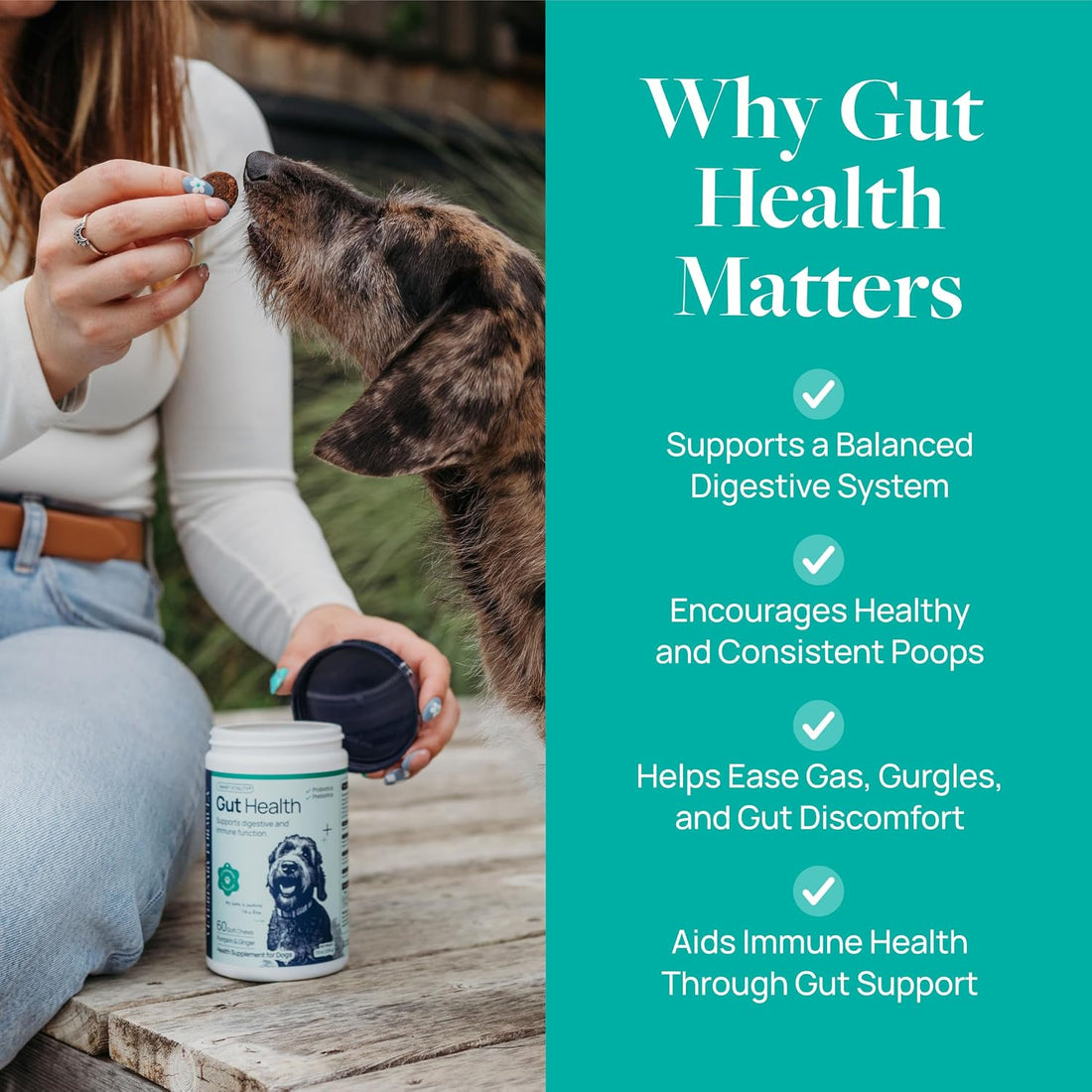 Veterinary Formula Smart Vitality Gut Health Soft Chews for Dogs