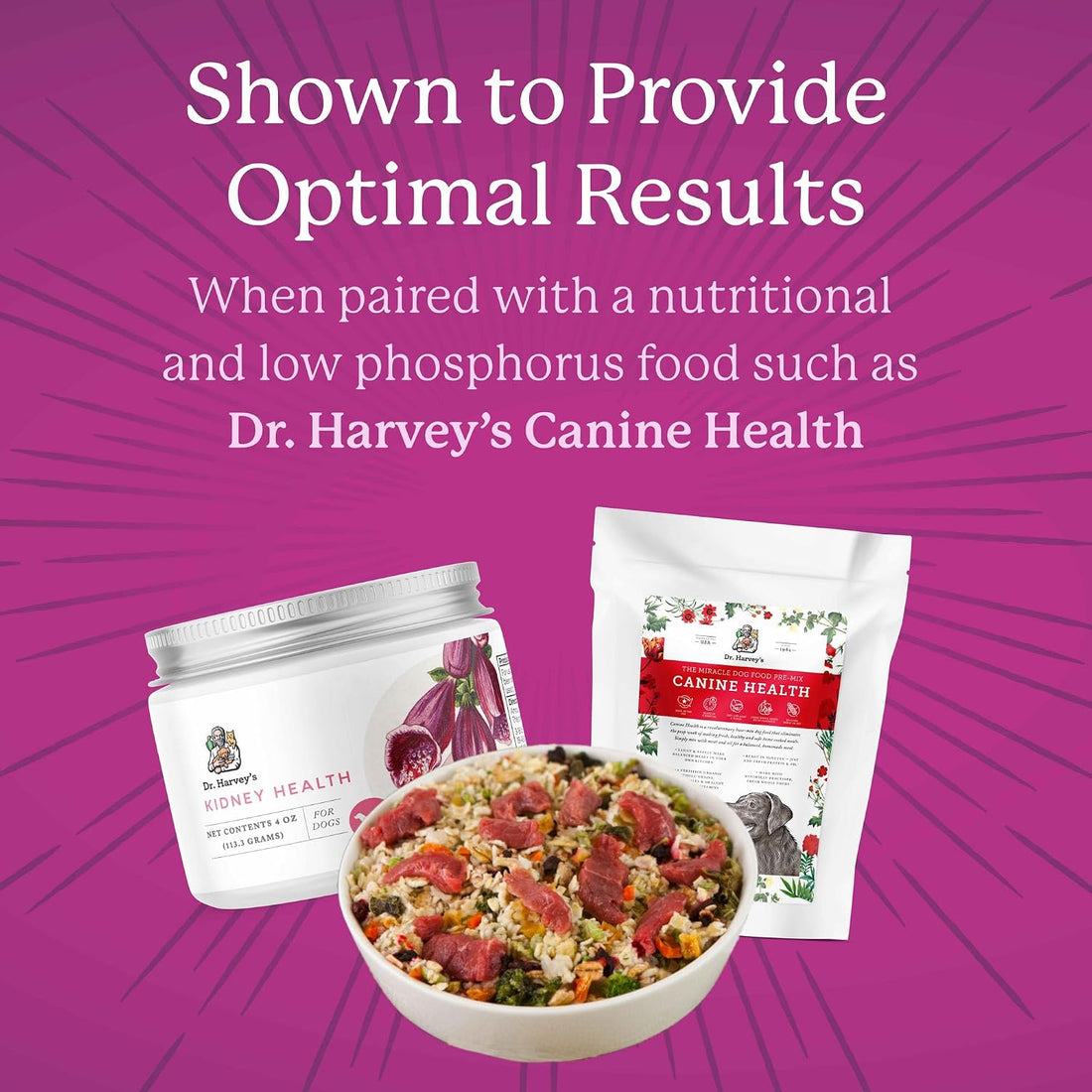 Dr. Harvey's Kidney Health Kidney Support Supplement for Dogs