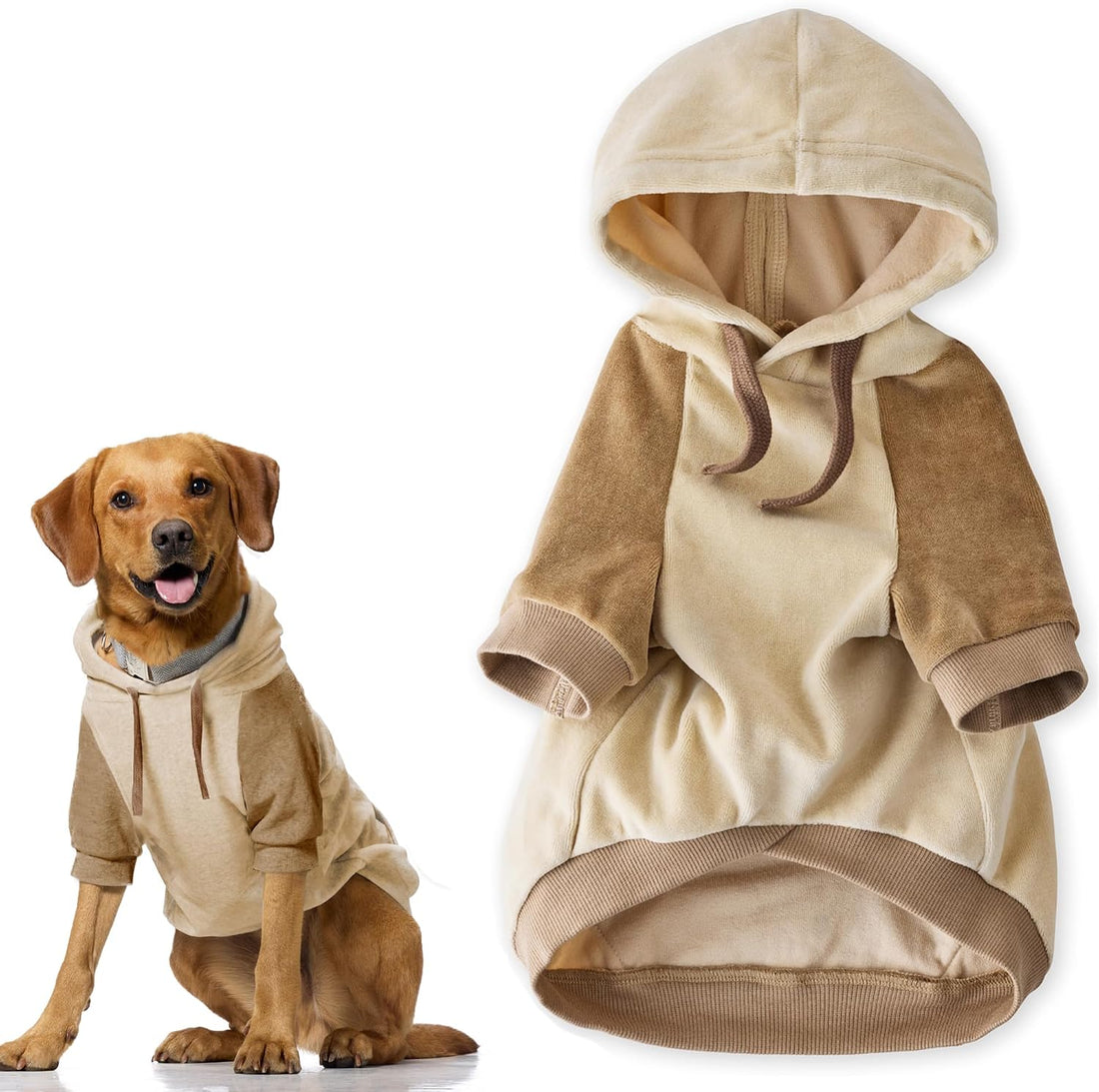 Pet Passion Cooper II Dog Hoodie, Sage, Large