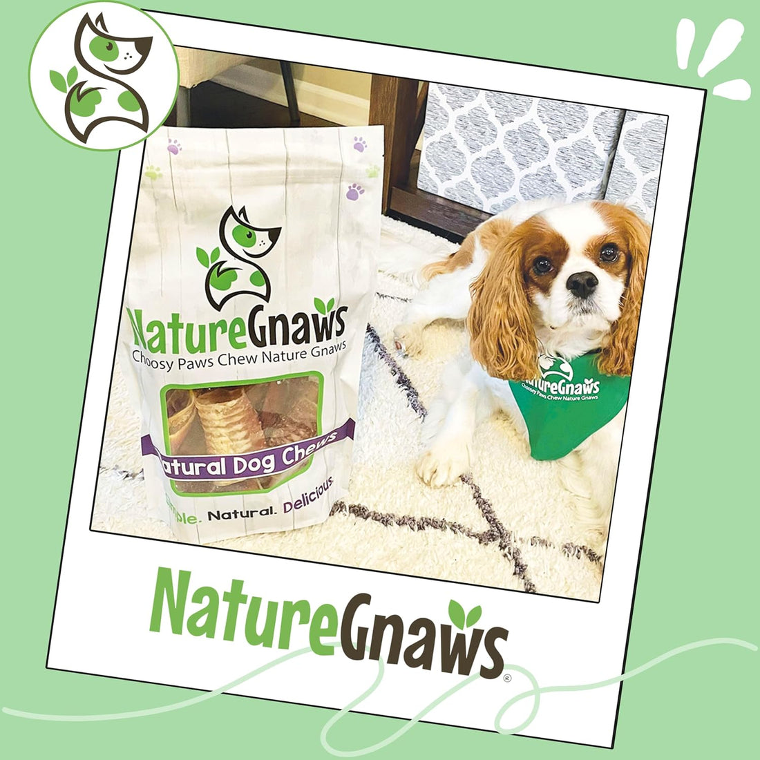 Nature Gnaws Beef Trachea Chews 3", 12 Count