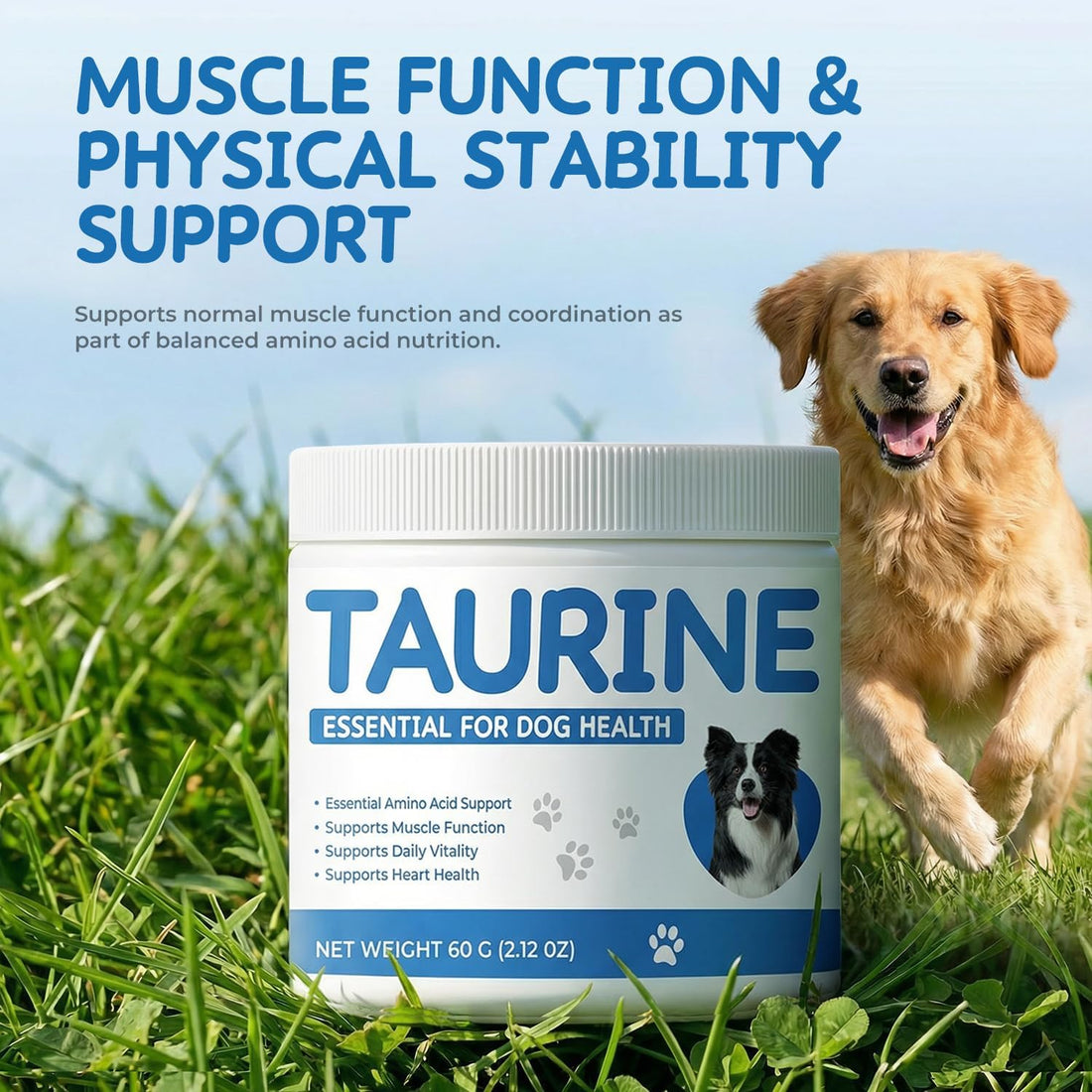 Homibabis Taurine Powder Supplement for Dogs