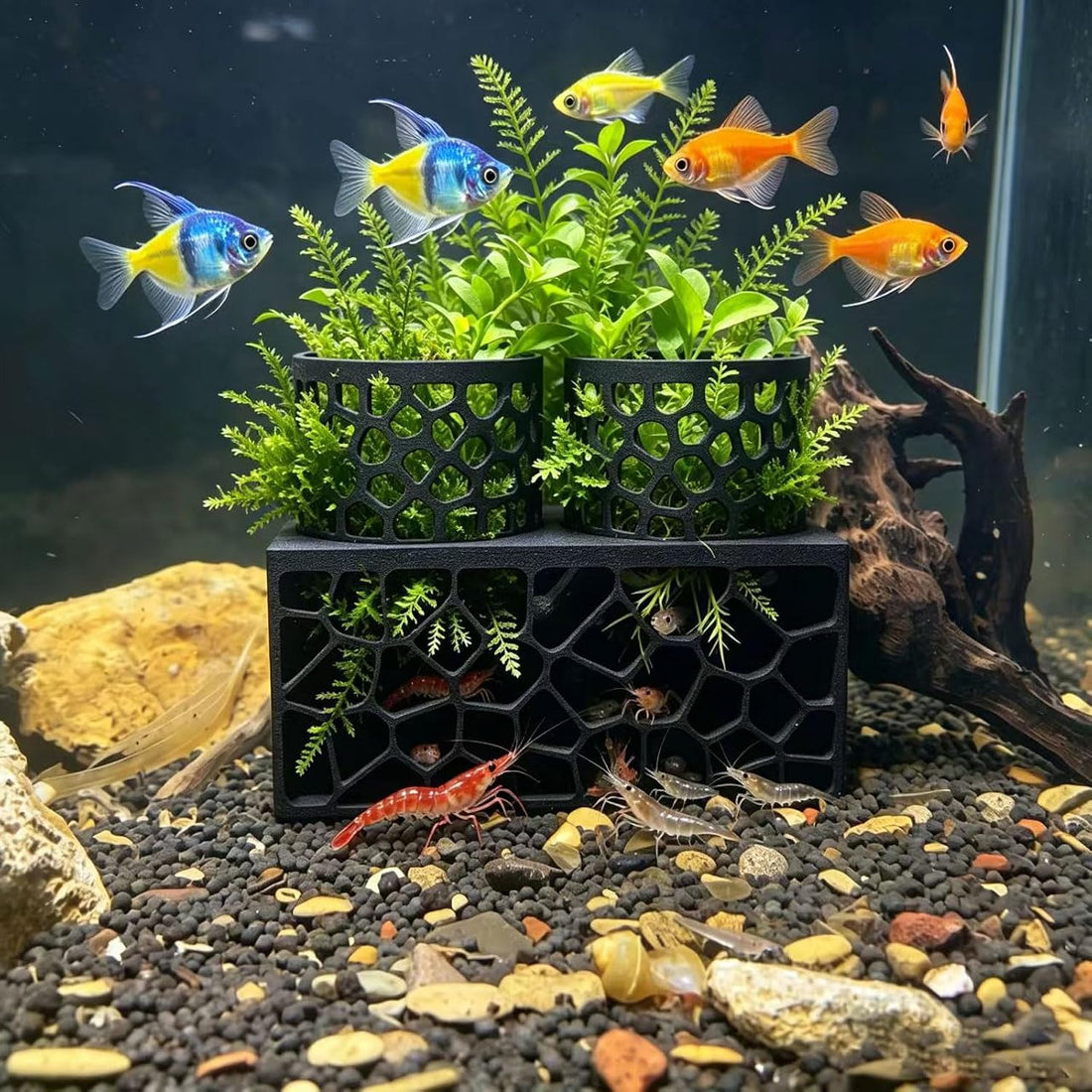 Porous Aquarium Shrimp Hideout with 2 Plant Cups