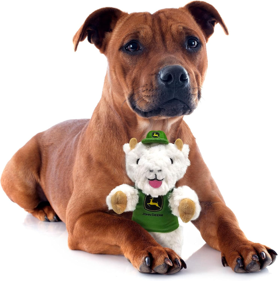 JohnDeere Goat Plush Toy for Dogs and Cats with Squeaker