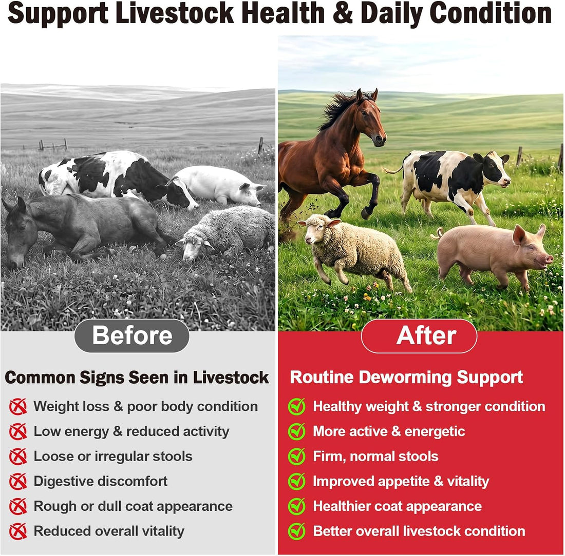 Dewormer, Liquid Formula, for Roundworms, Pinworms, and Others