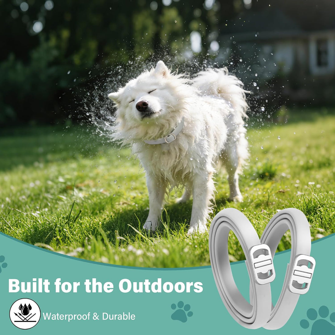 6 Pack Flea and Tick Collars for Dogs, Up to 48 Months, Grey