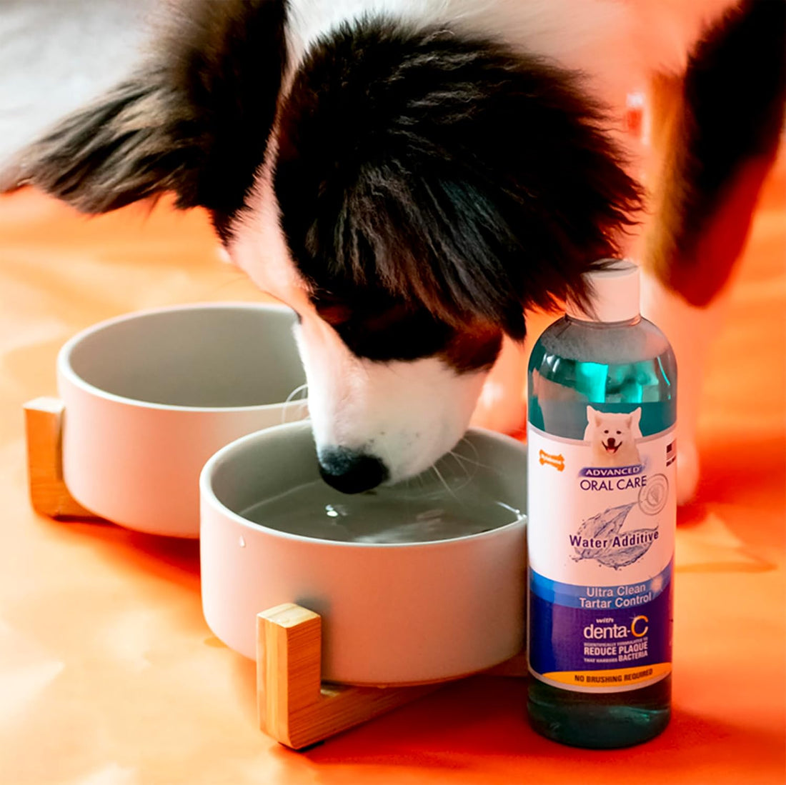 Nylabone Advanced Oral Care Pet Dental Water Additive