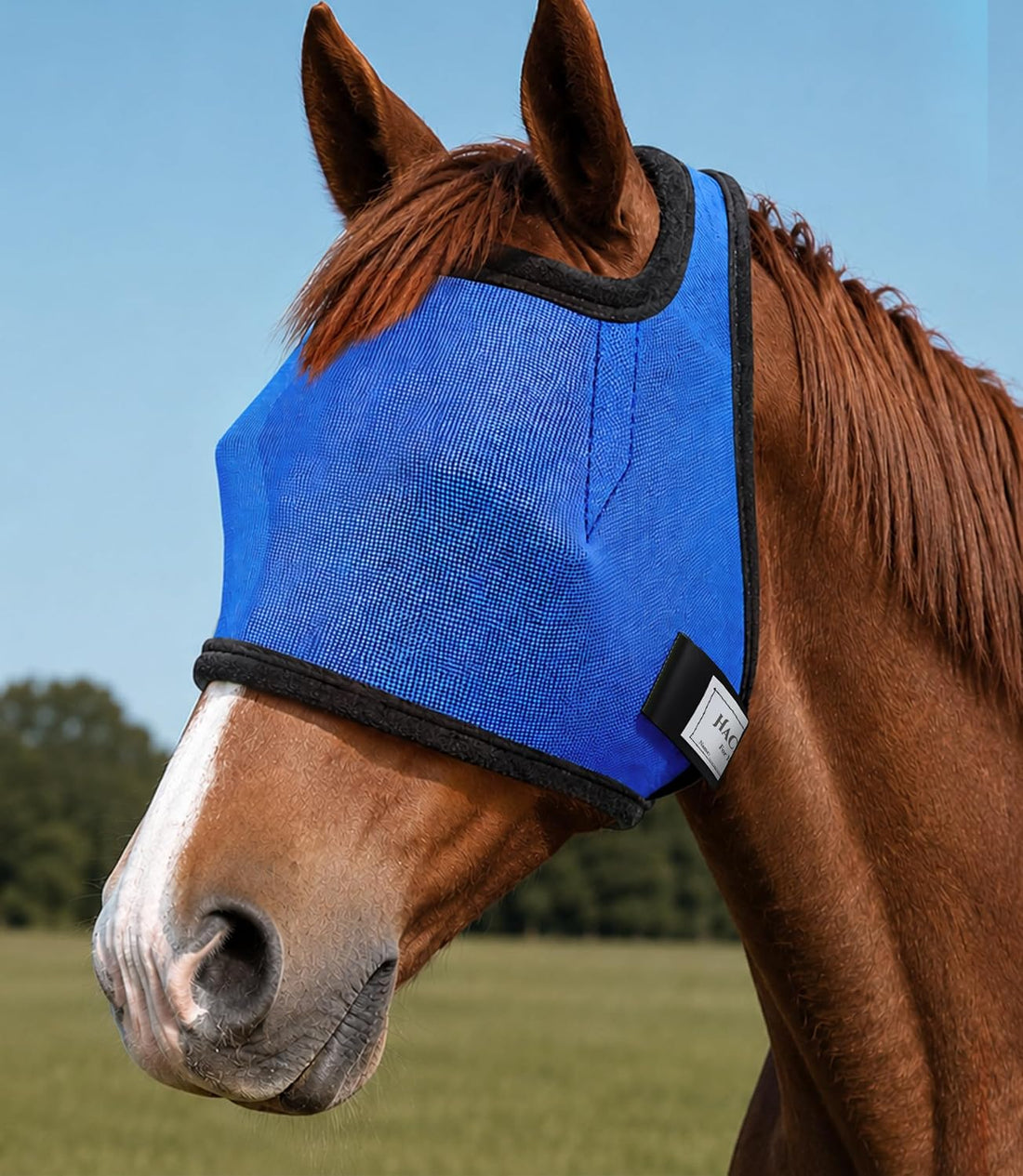 Fly Masks for Horses Without Ears, Horse Fly Mask