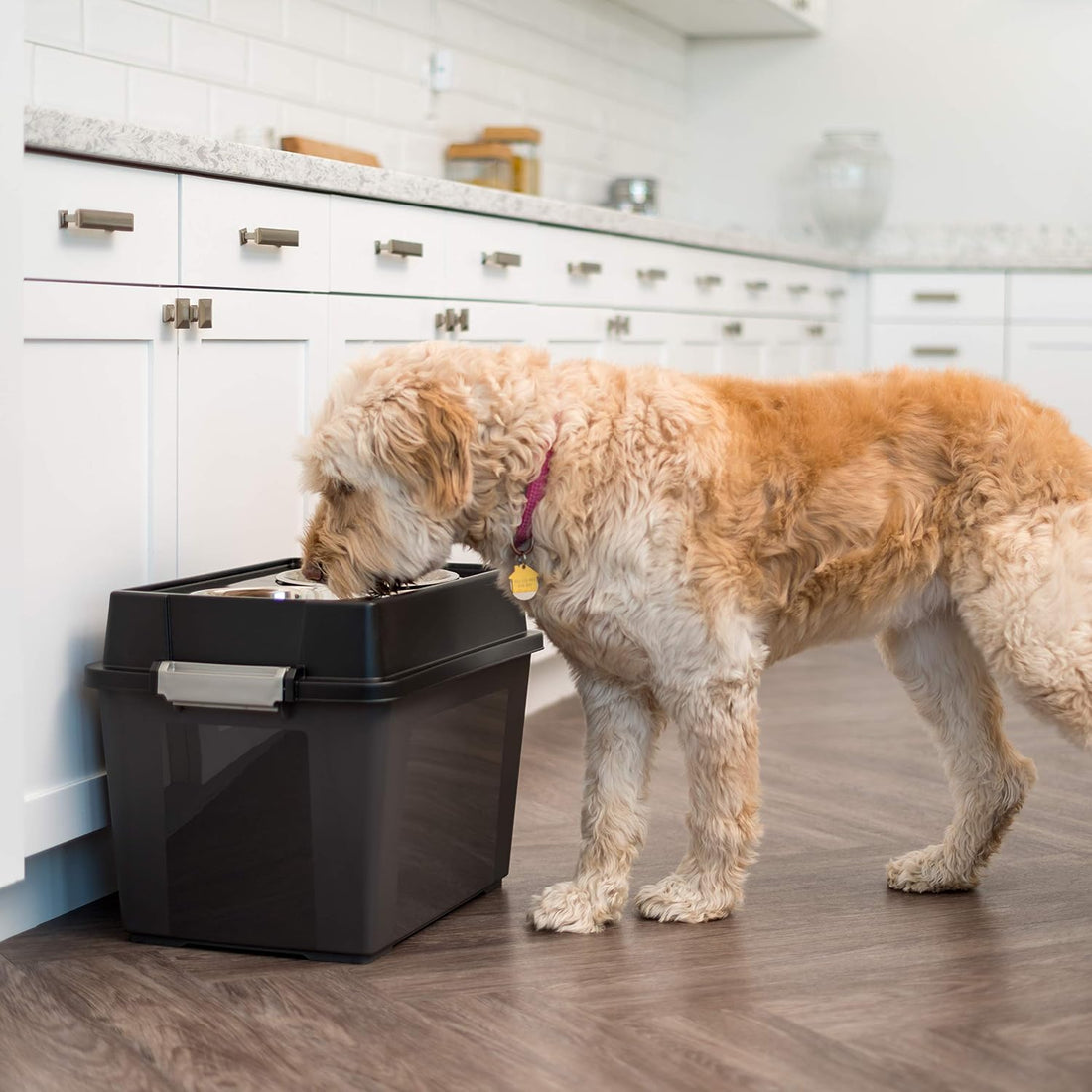 IRIS USA Dog Bowls Elevated with Storage, 15" H Raised Feeding Station