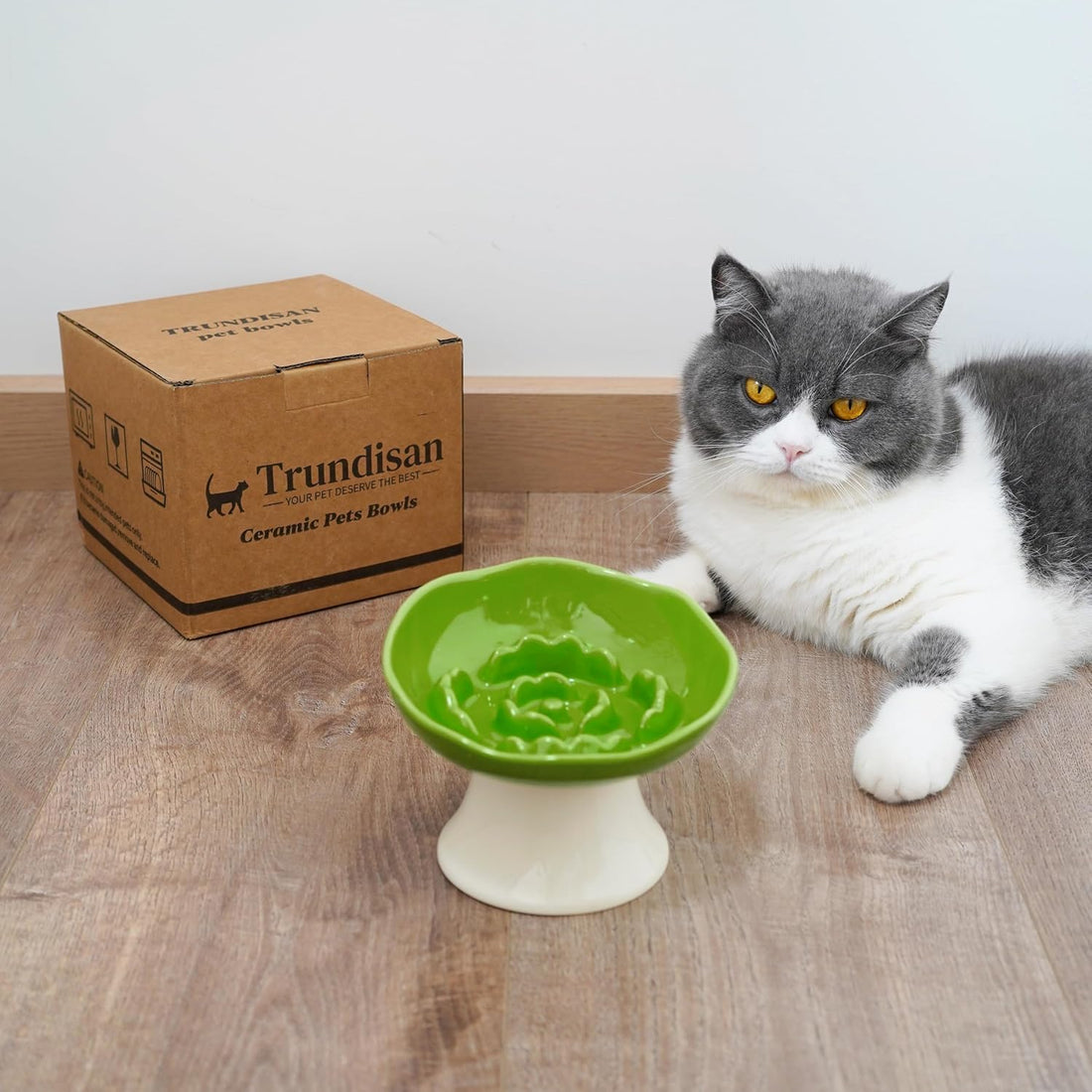Ceramic Slow Feeder Bowl for Cats and Small Dogs
