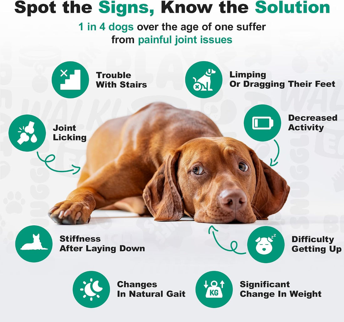 Doggie Dailies, Hip and Joint Supplement for Dogs