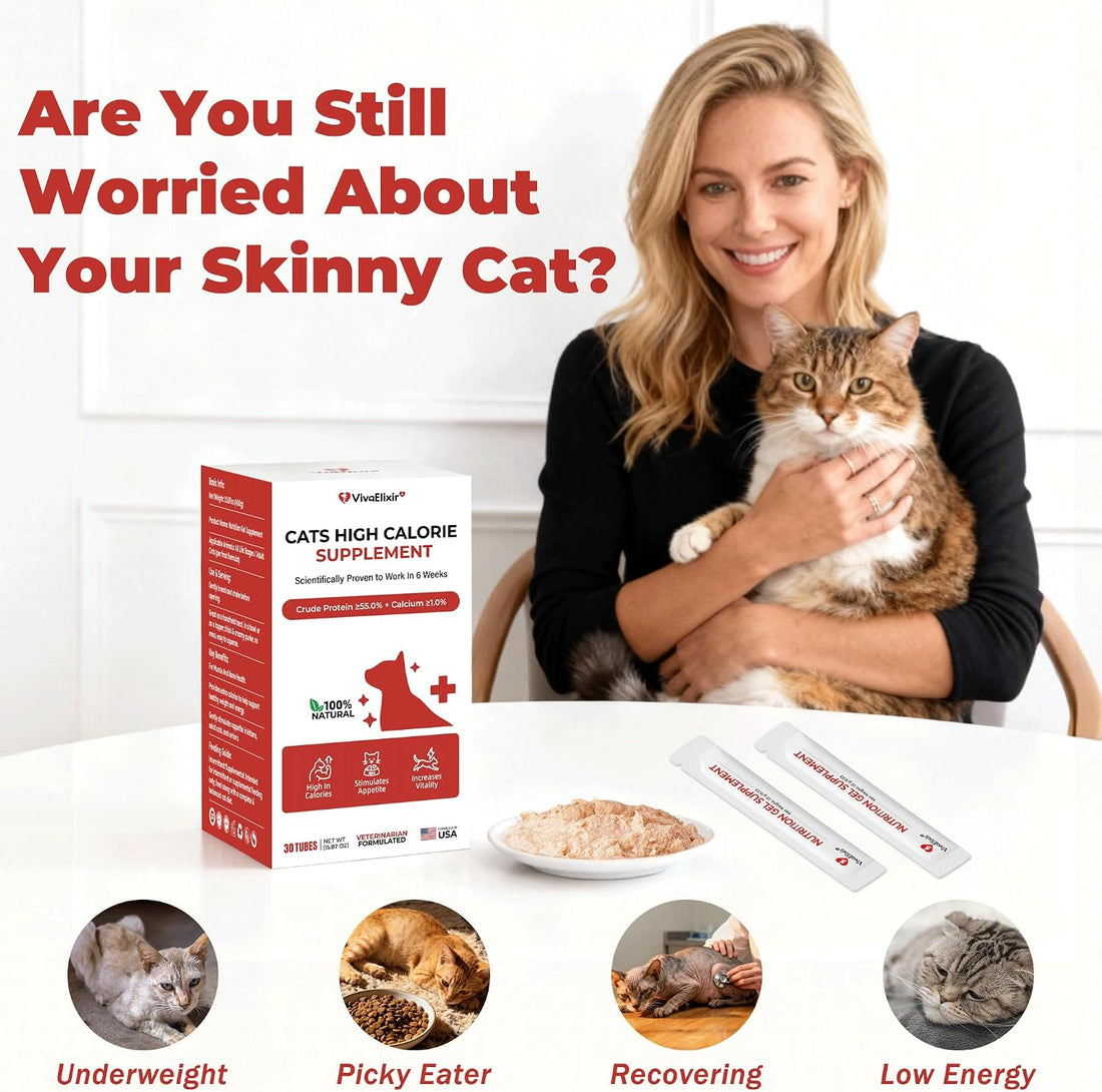 High Calorie Nutrition Paste for Cats