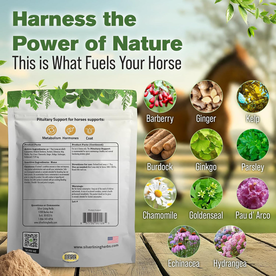 Silver Lining Herbs Horse Pituitary Gland Supplements - 1 lb