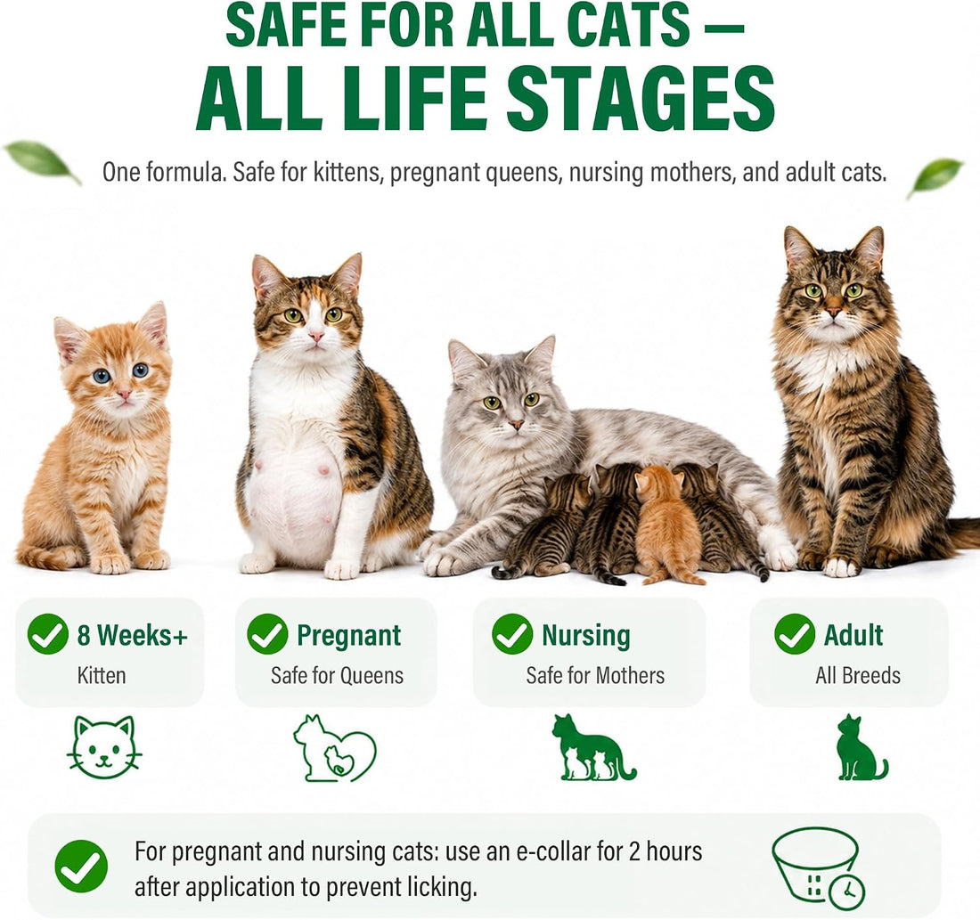 Cat Flea & Tick Topical Drops, Waterproof, 3 Doses, Cats 1.5 lbs+