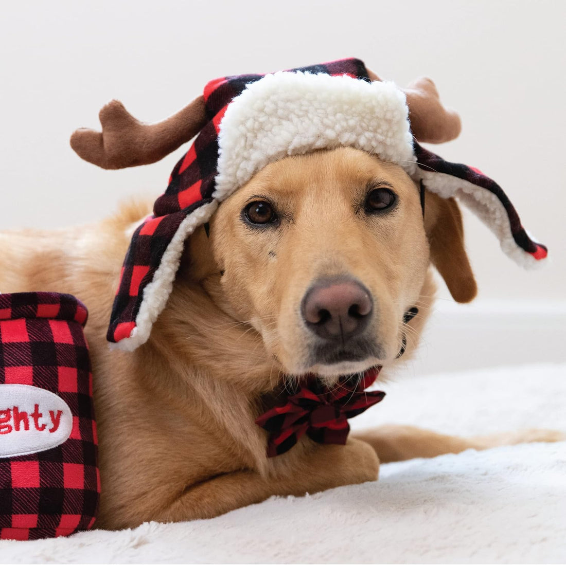 Huxley & Kent Pet Hat | Antler Buffalo Check