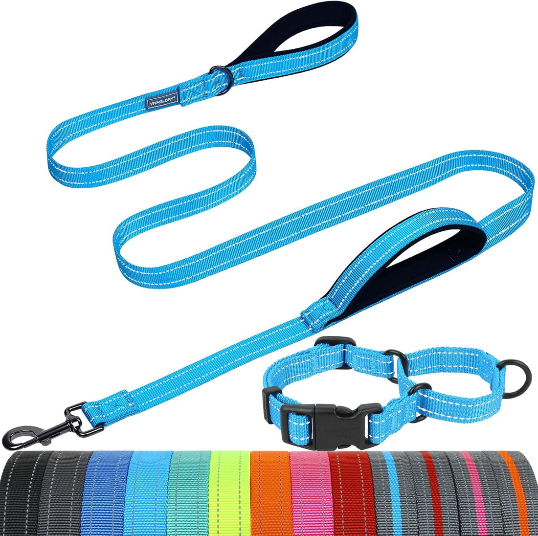 VIVAGLORY Double Handle Dog Leash Twingrip, 4ft x 1in