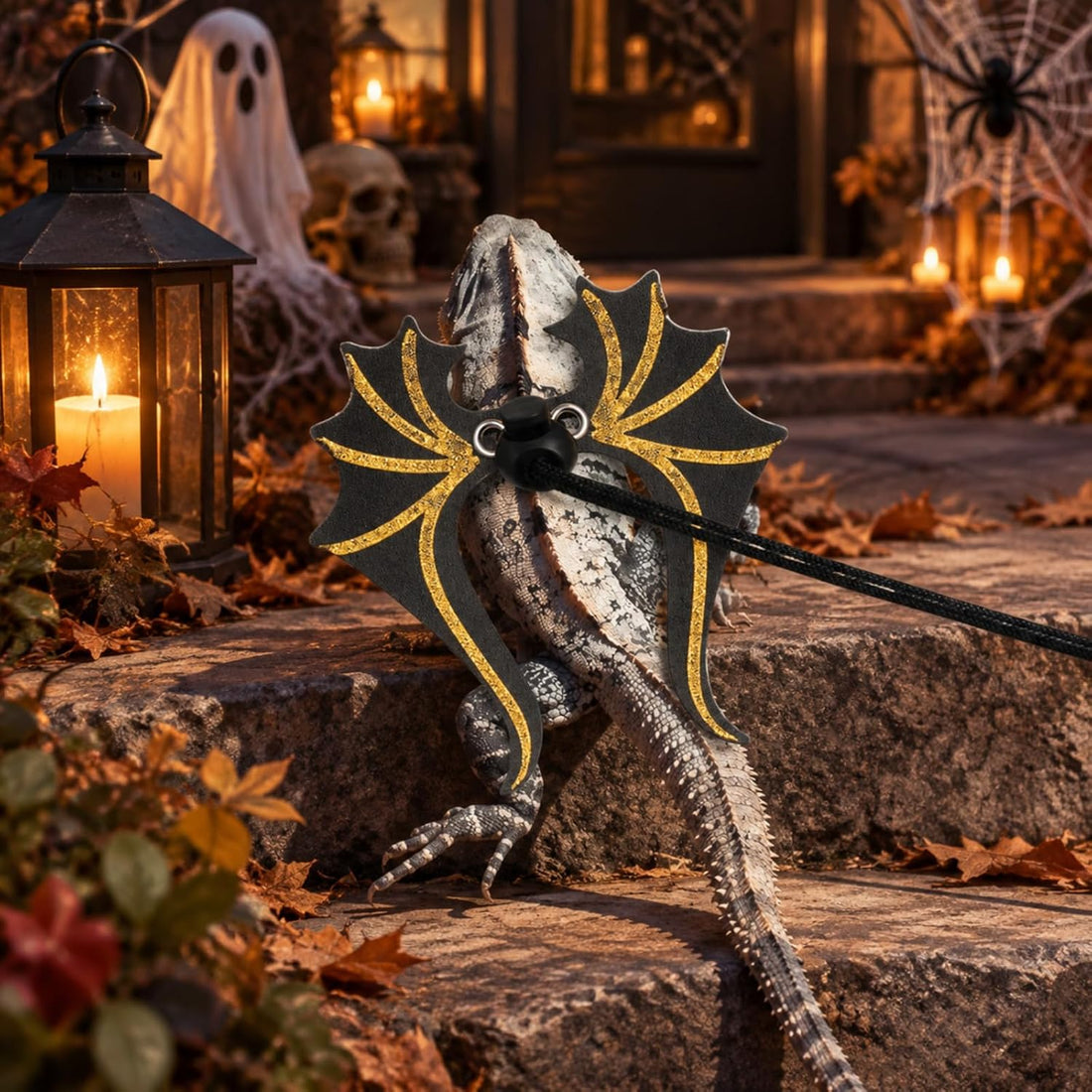 Halloween Bearded Dragon Leash and Harness Set, Lizard Accessories