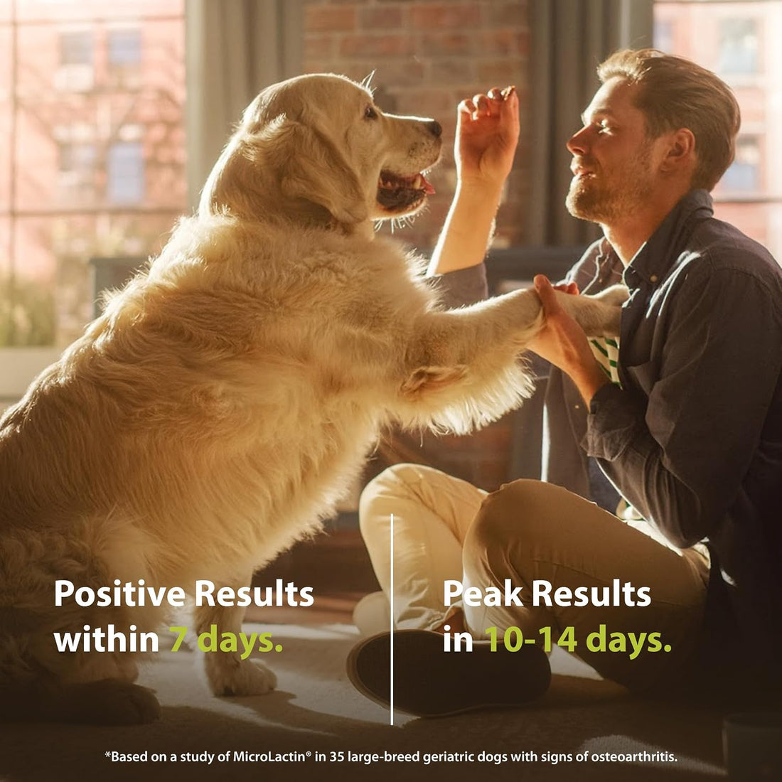 PRN Pharmacal Duralactin Canine Chewable Tablets, Vanilla