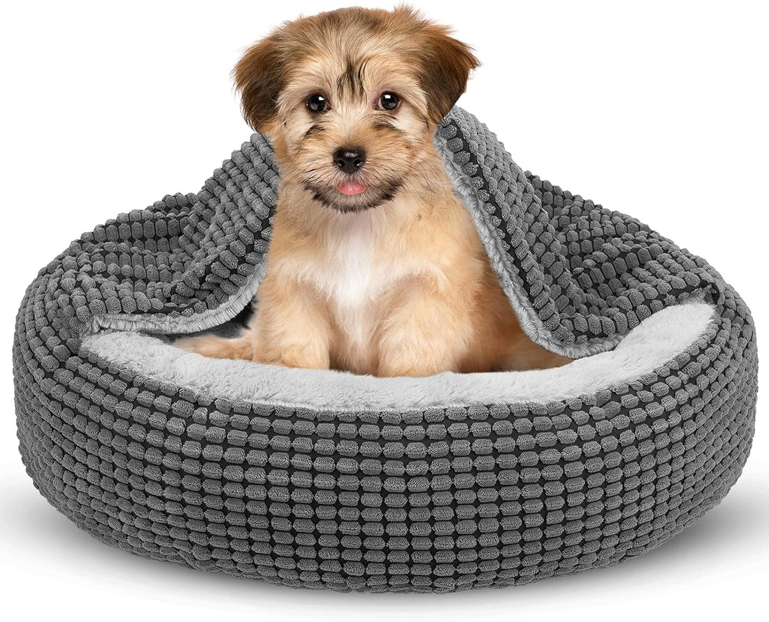 Small Dog Bed with Attached Blanket