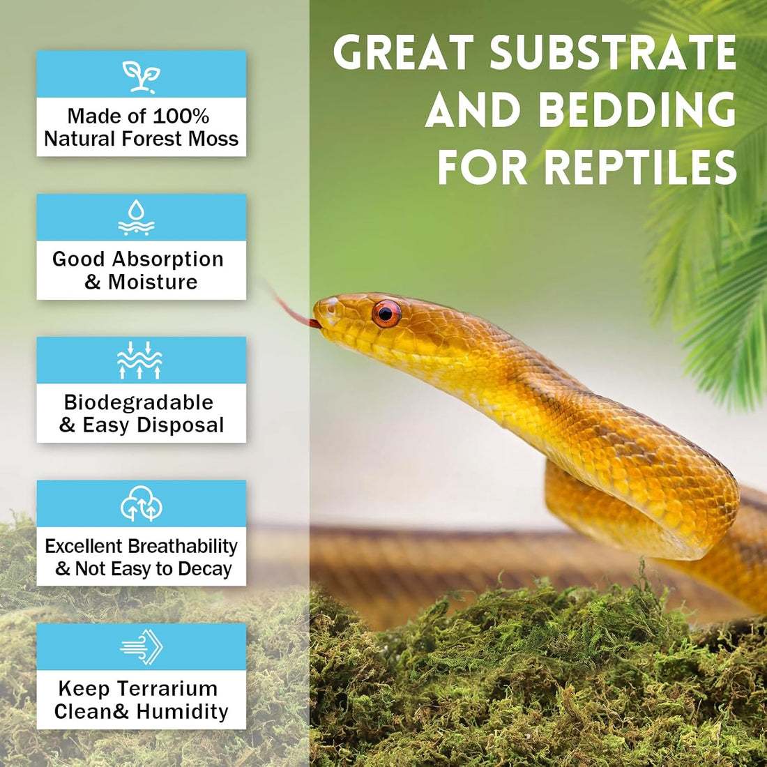 Riare 8 OZ Natural Sphagnum Moss for Reptiles