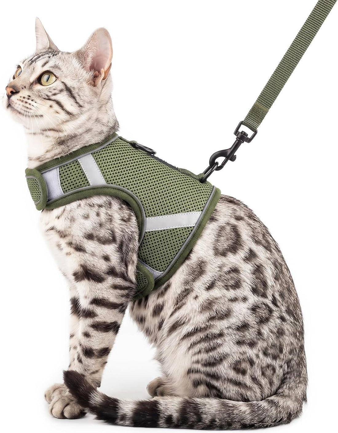 Cat Harness and Leash Set, No Over-the-Head Cat Vest, Orange, M