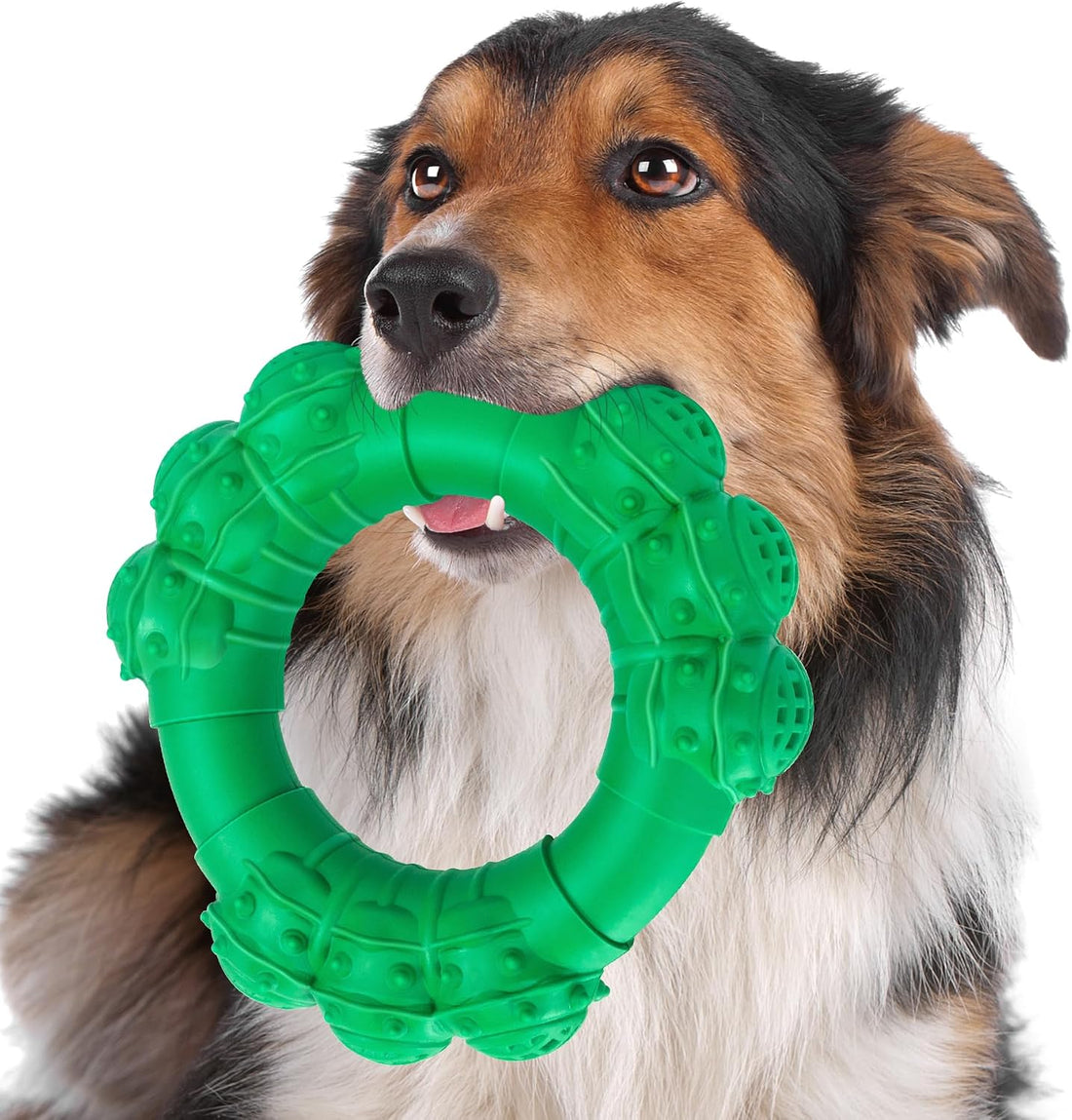 Indestructible Dog Chews - Super Duty Chew Toys for Aggressive Dogs