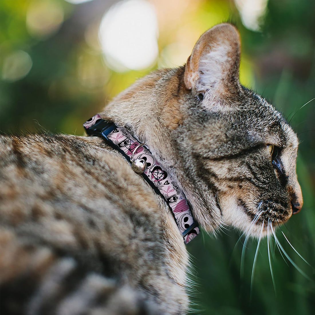 Disney Breakaway Cat Collar
