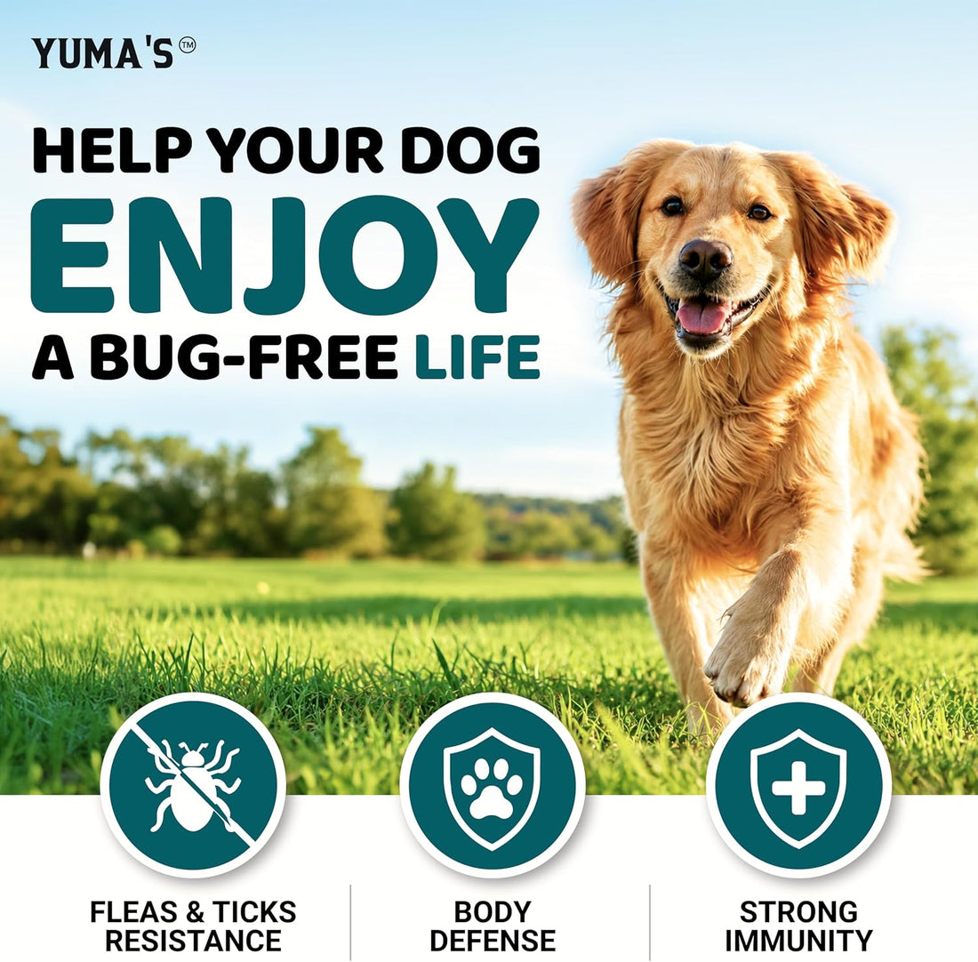 Chewable Flea and Tick Prevention for Dogs - 240 Chews