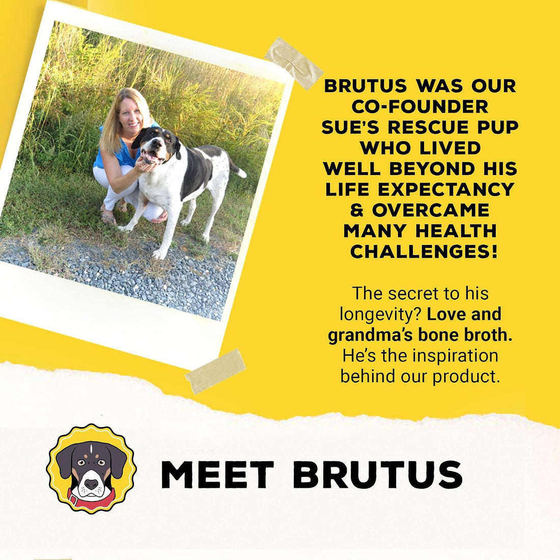 Brutus Broth Dog Food Topper