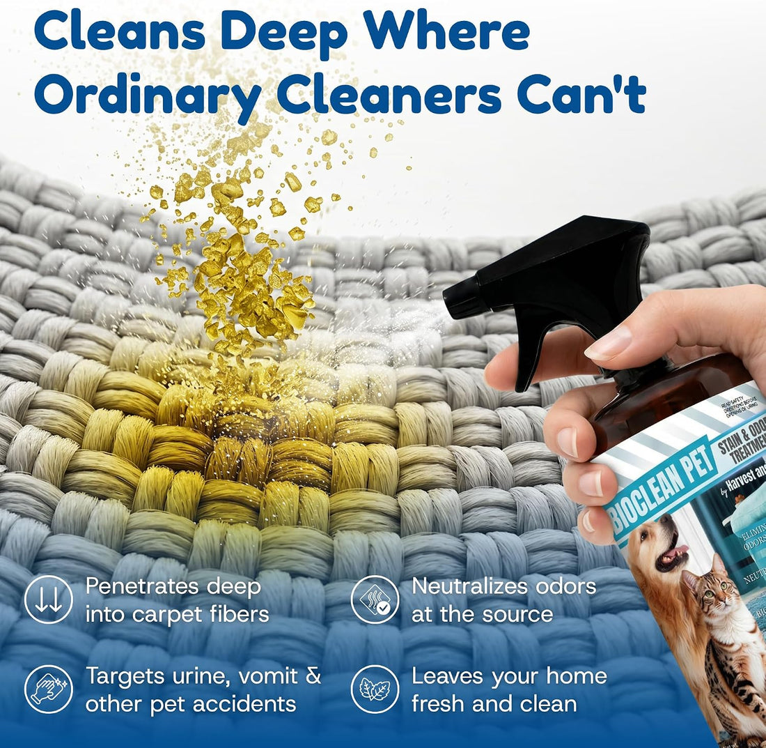 Bioclean Pet Carpet Cleaner & Deodorizer – Eliminates Pet Urine Smell