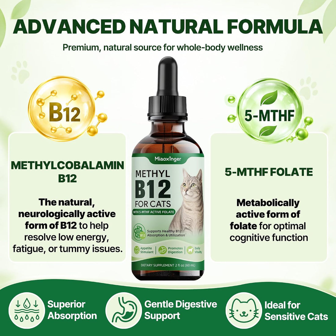 Vitamin B12 for Cats|Superior Methylcobalamin|Developed for B12