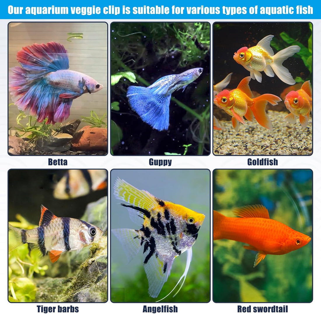 Magnetic Aquarium Veggie Clip Plant Feeding nori Seaweed Clip