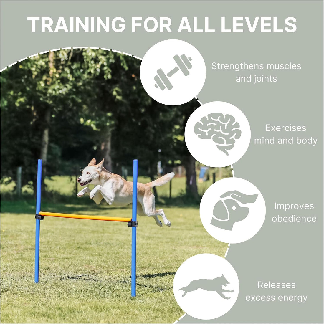 TRIXIE Dog Agility Hurdle with Height Adjustable Crossbar