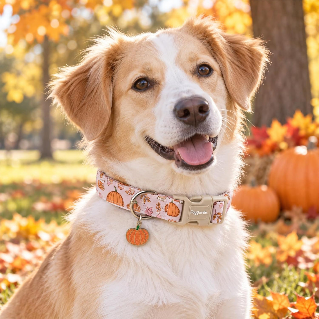Faygarsle Cute Pink Fall Dog Collar Pumpkin and Leaves Pattern