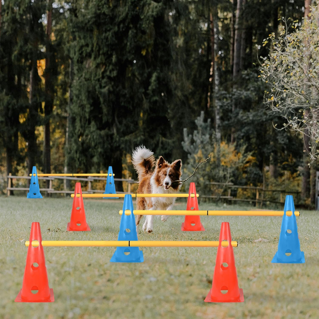 TNZMART Dog Agility Hurdle Cones Pet Jump Training Set Dog Agility