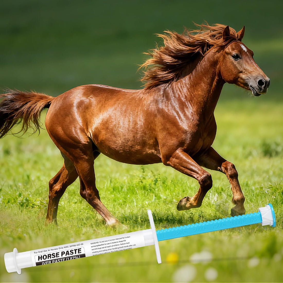 12 Pack Equine Paste 1.87% – Apple Flavored Oral for Horse