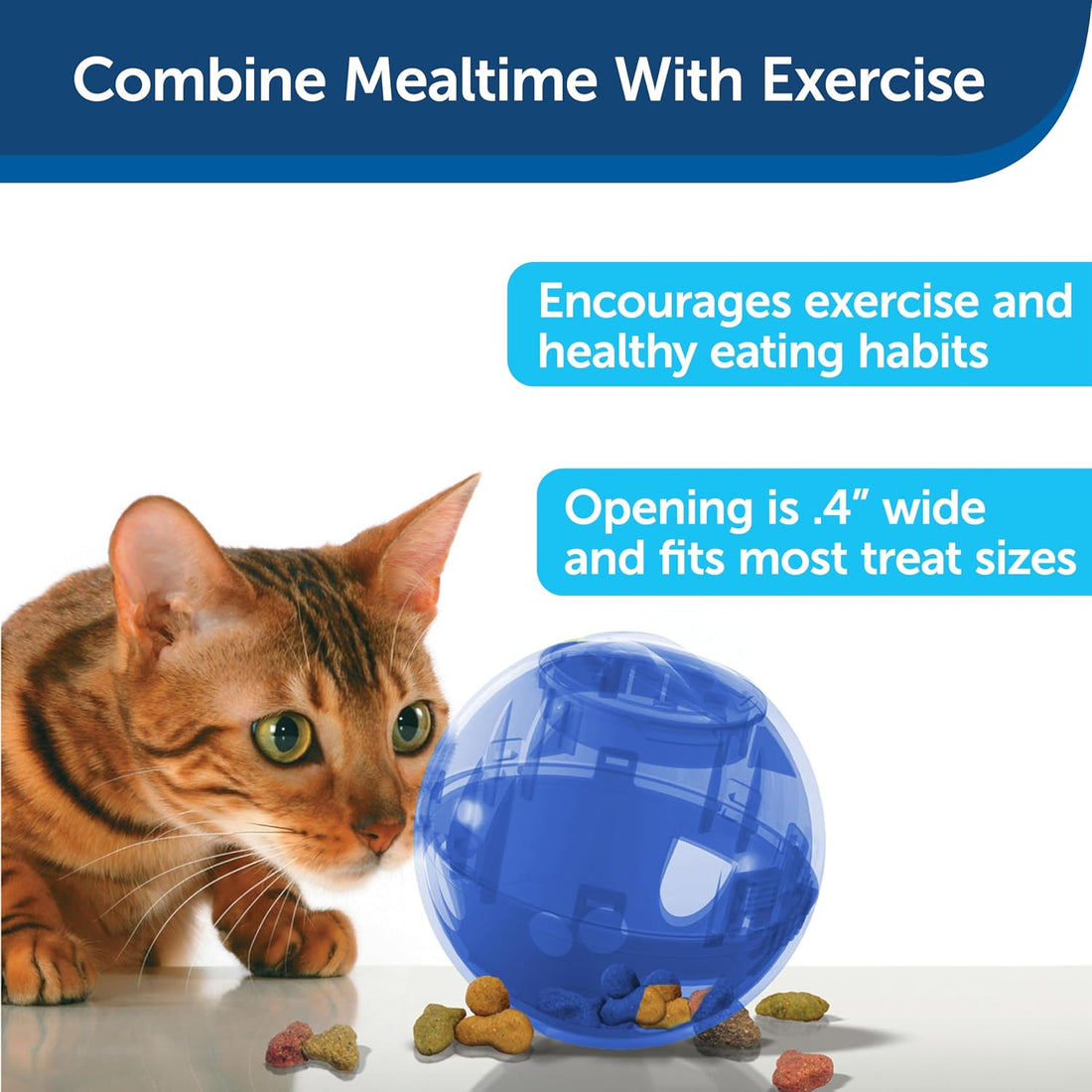 PetSafe Slimcat Slow Feeder Ball for Cats