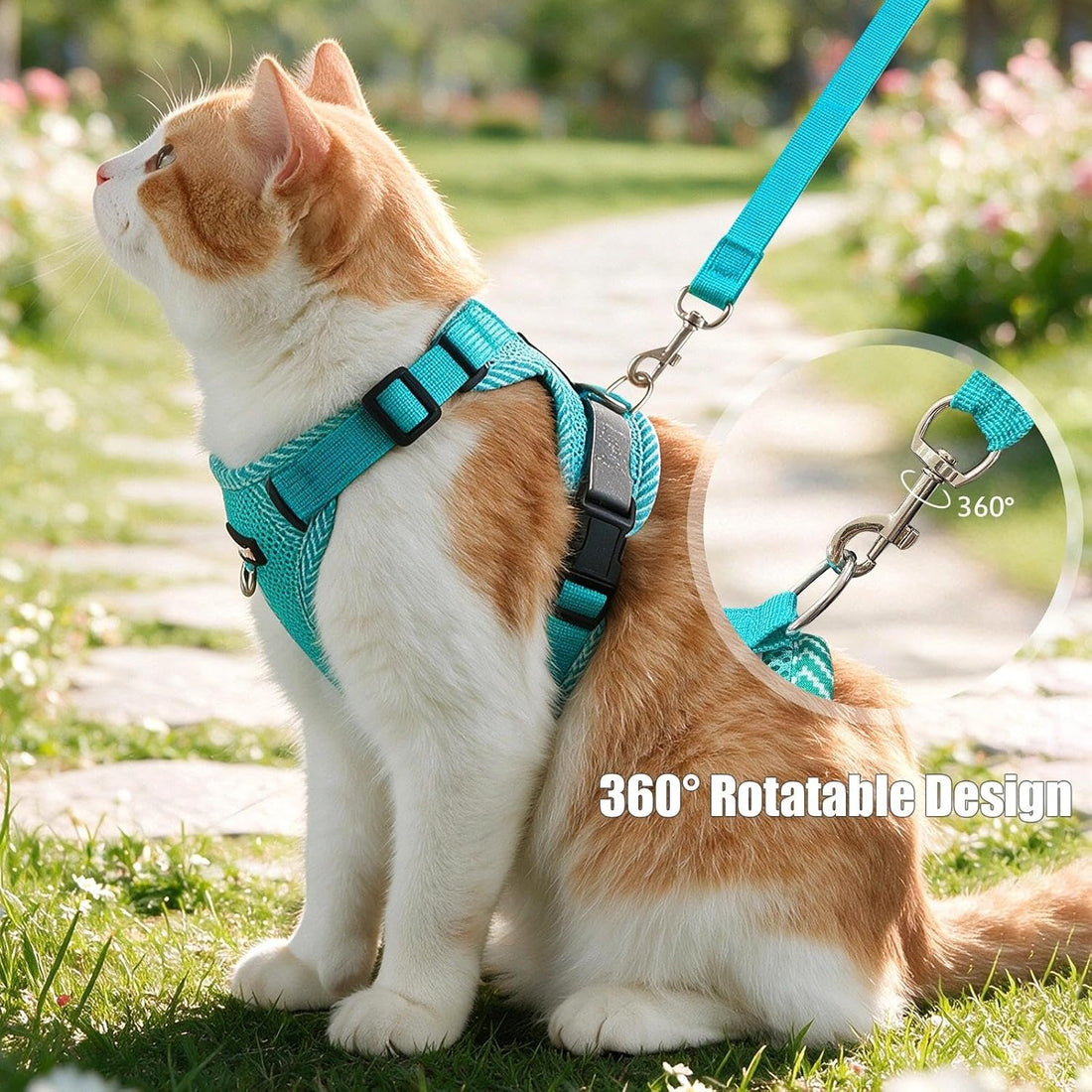 Large Cat Harness and Leash Set