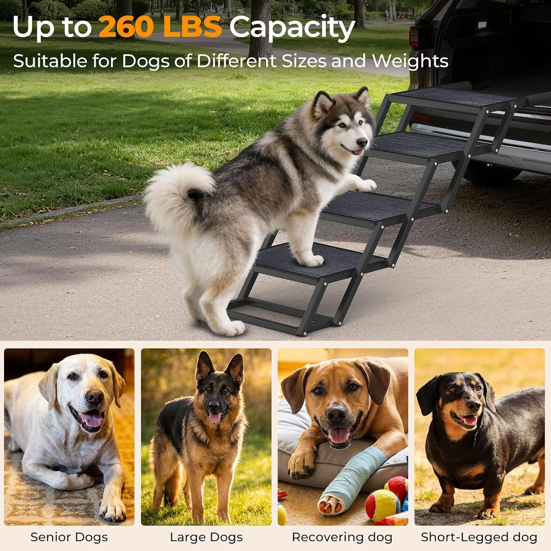URPOWER Dog Stairs for Large Dogs Extra Wide 20" with 5